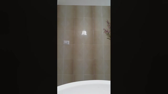 viola43  21-02-2023